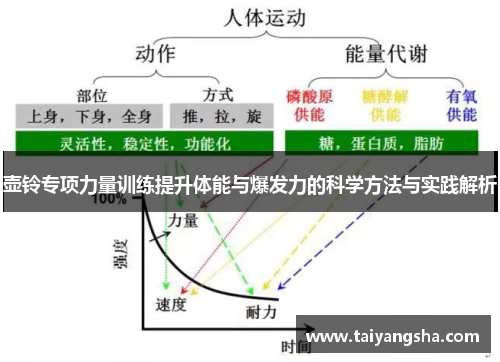 壶铃专项力量训练提升体能与爆发力的科学方法与实践解析