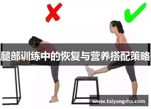 腿部训练中的恢复与营养搭配策略